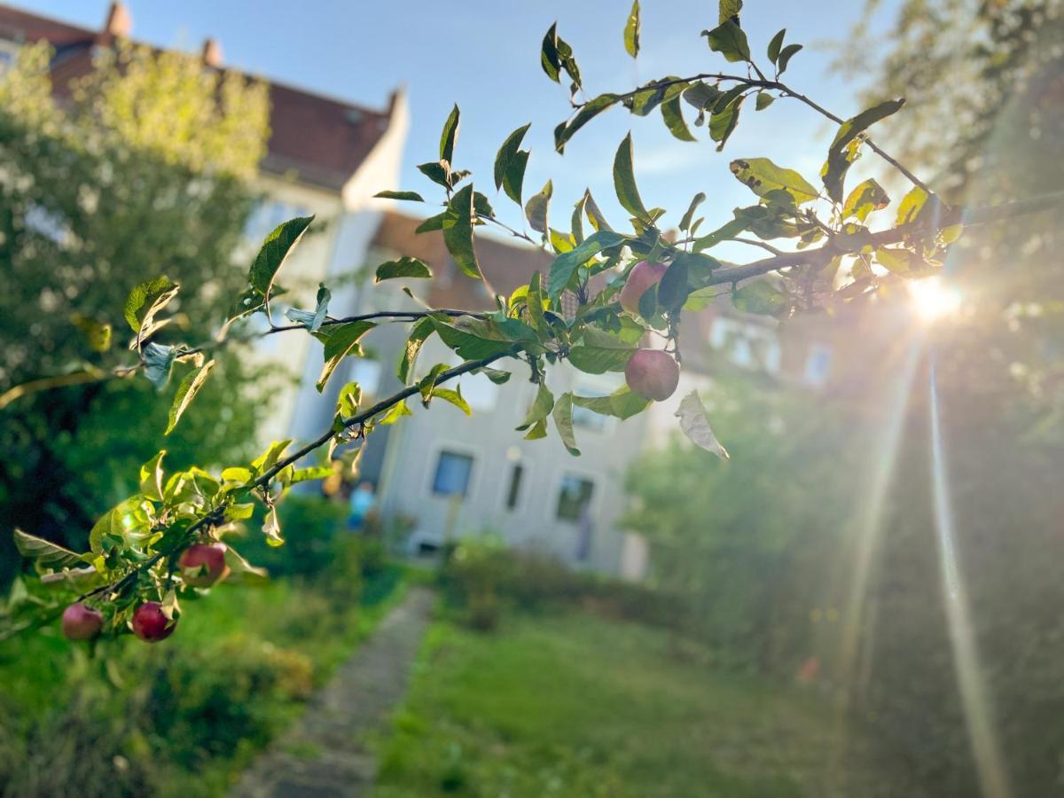 Apartment Immostay Mit Garten & Free Parking *