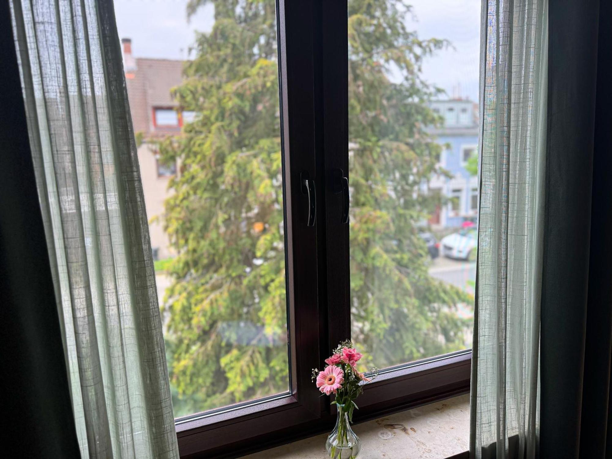Immostay Mit Garten & Free Parking Apartment *