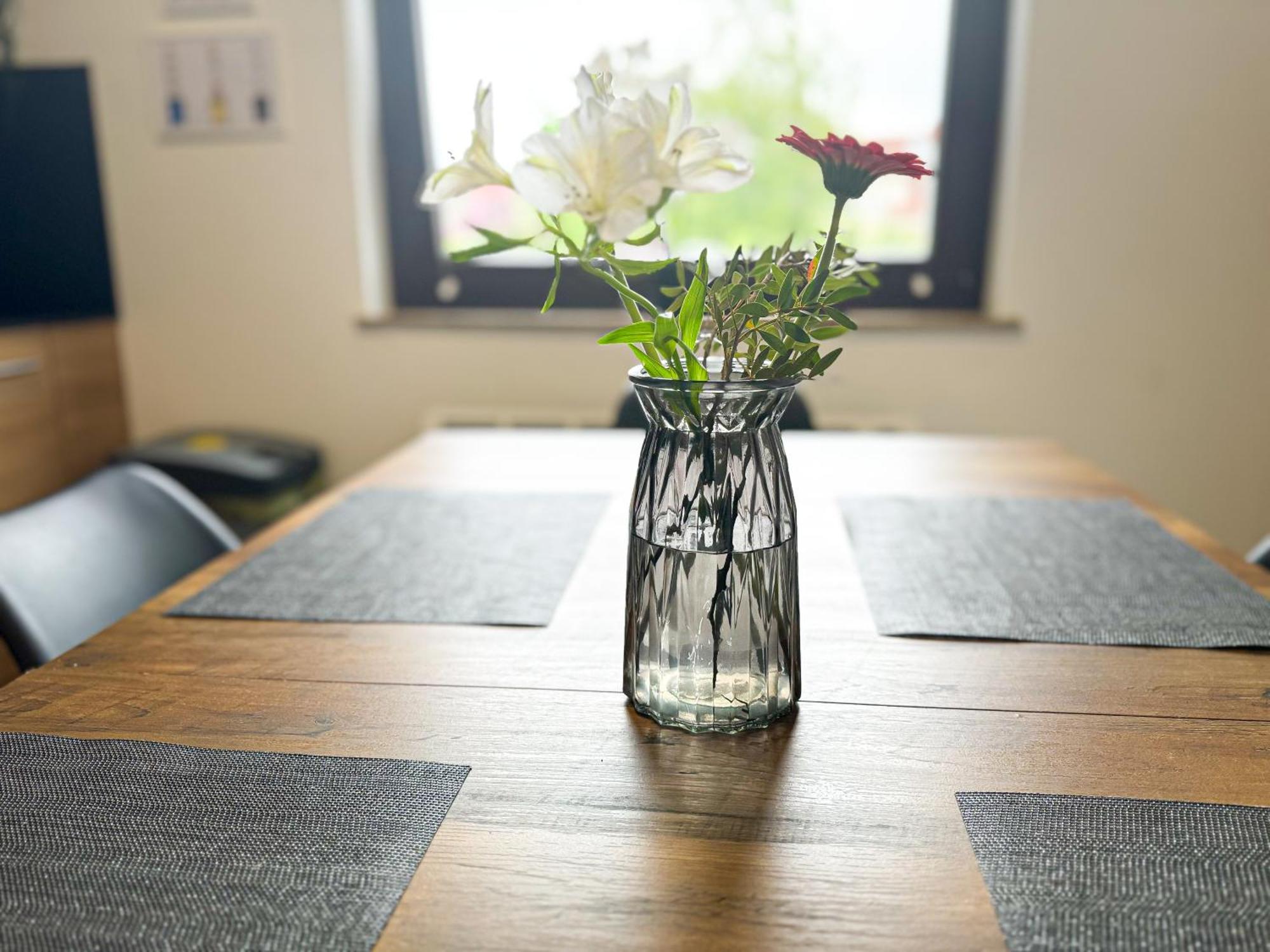 Apartment Immostay Mit Garten & Free Parking *